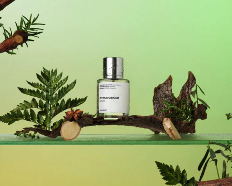 Citrus Ginger EDP, 50mL