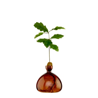 Russet Brown