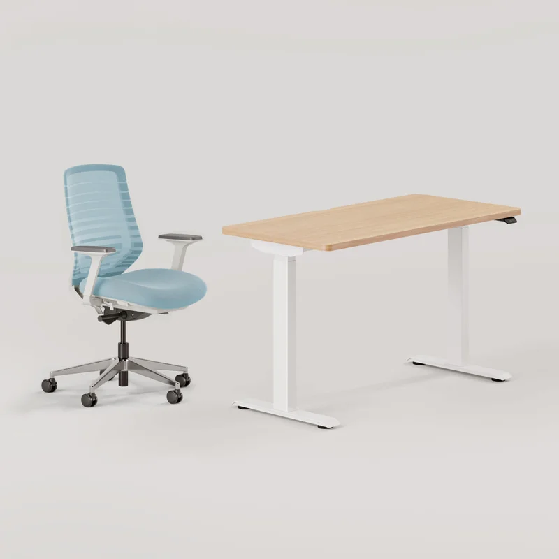 Ergonomic Chair + Standing Desk Bundle