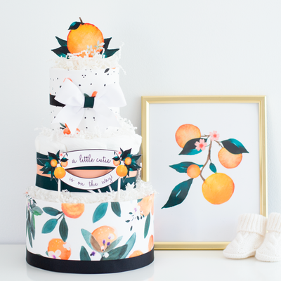 Diaper Cake Baby Bundle