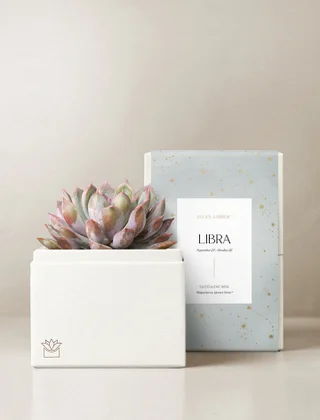 Libra Garden