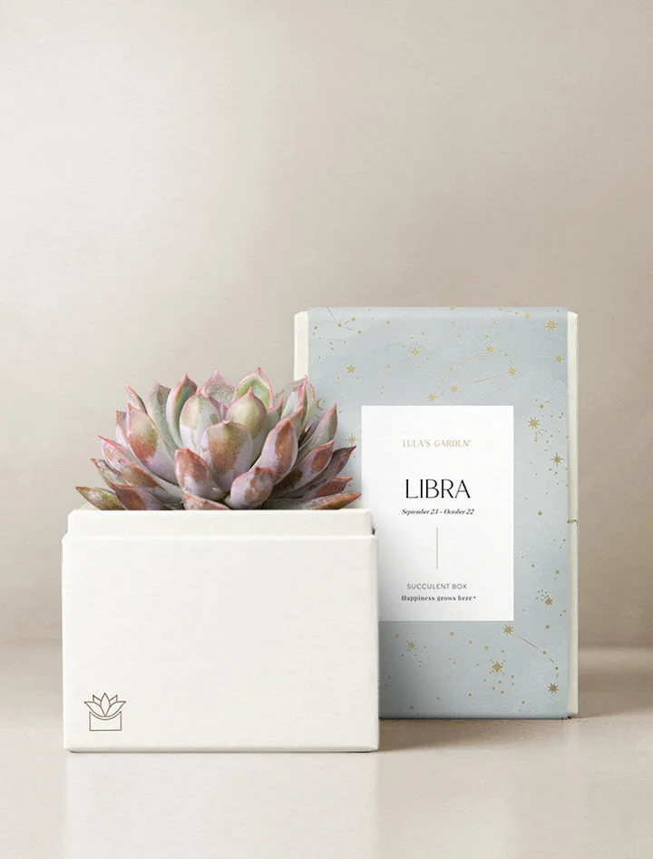 Birthday Astrology Garden