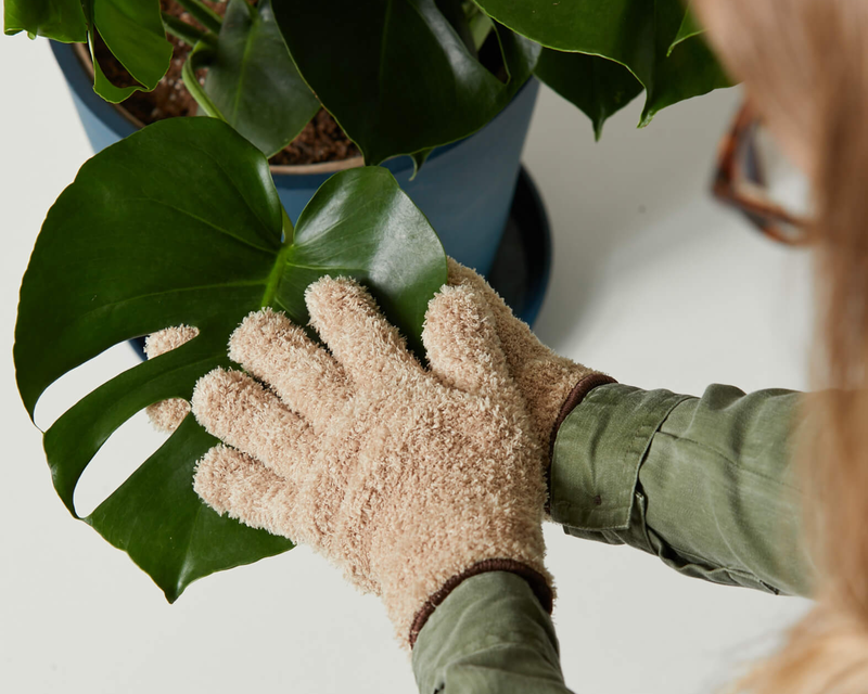 Microfiber Plant Dusting Gloves