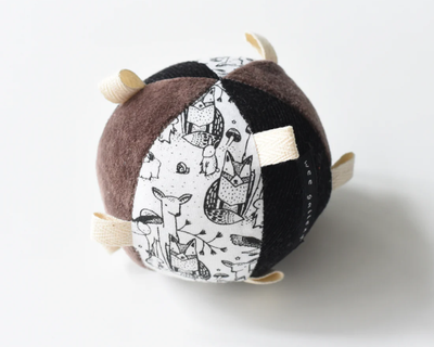 Taggy Ball with Rattle