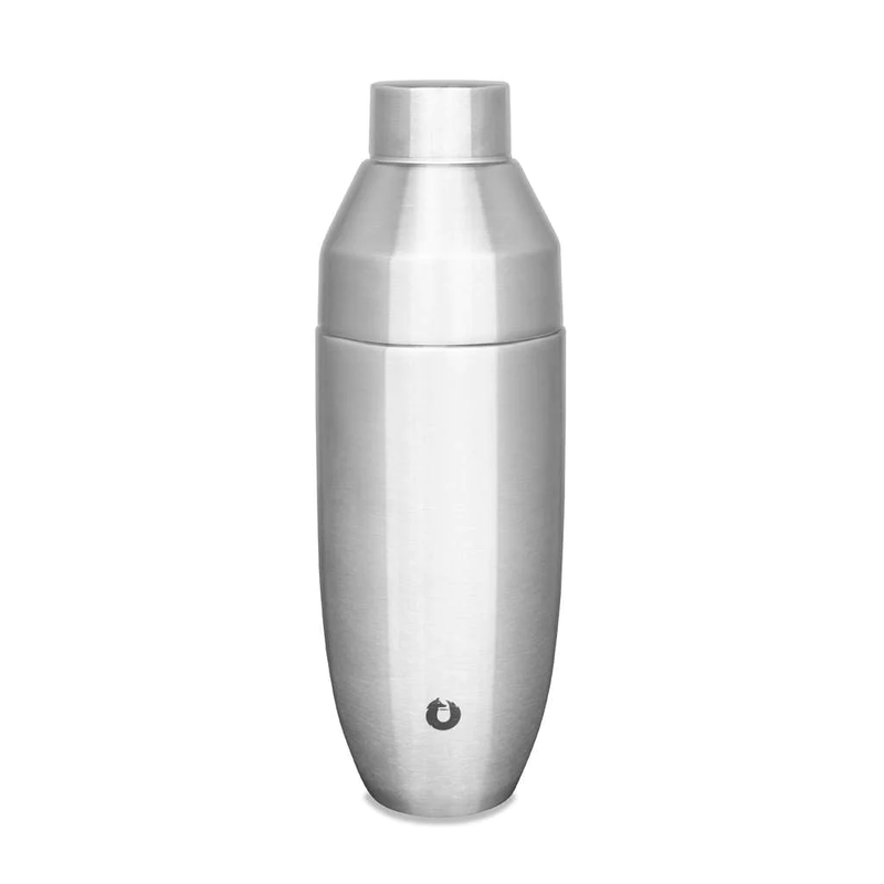 Stainless Steel Cocktail Shaker