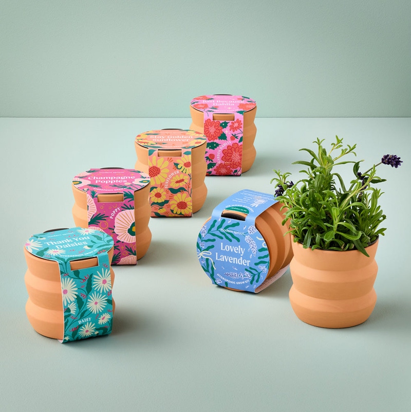 Tiny Terracotta Grow Kit