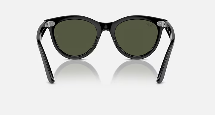 Wayfarer Way Sunglasses