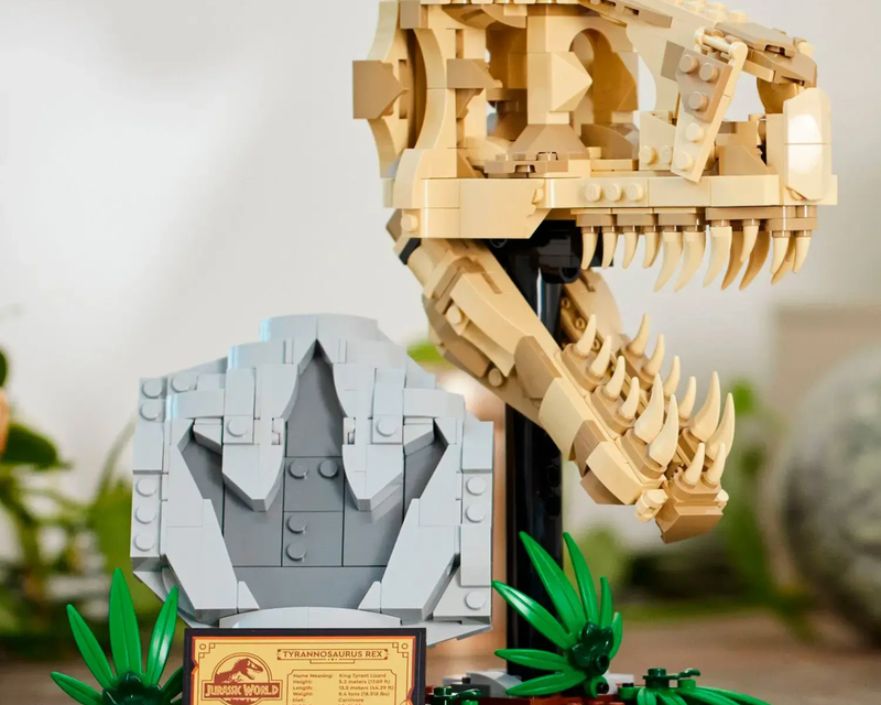 Jurassic World Dinosaur Fossils 