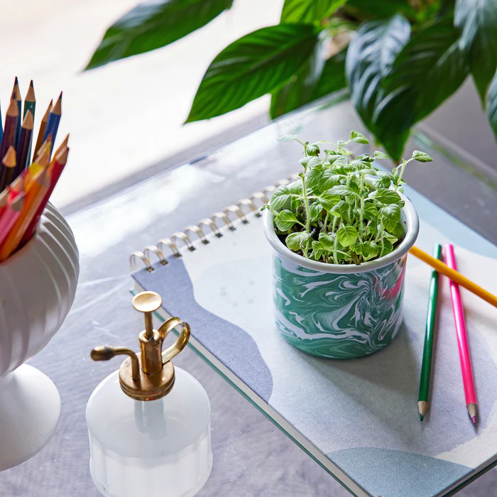 Altered Herbs Grow Kits