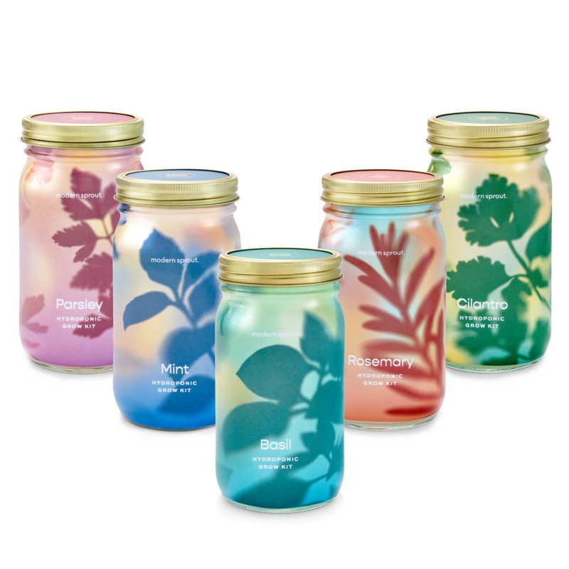 Herb Garden Jar 5-Pack