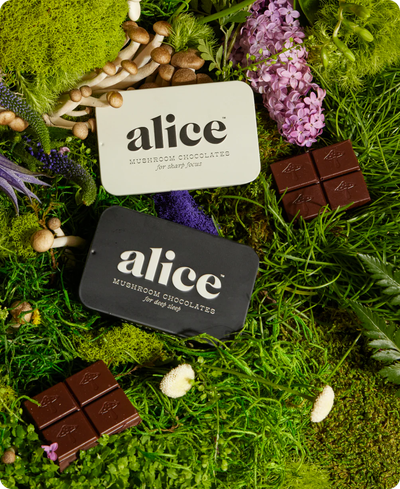 2 Tins Mushroom Chocolates