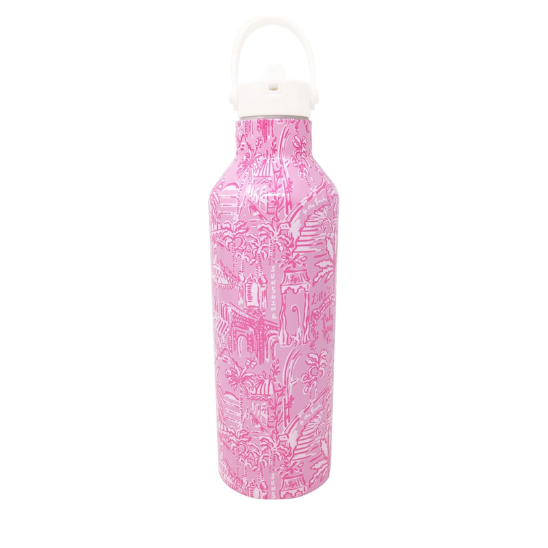 Stainless Steel Water Bottle