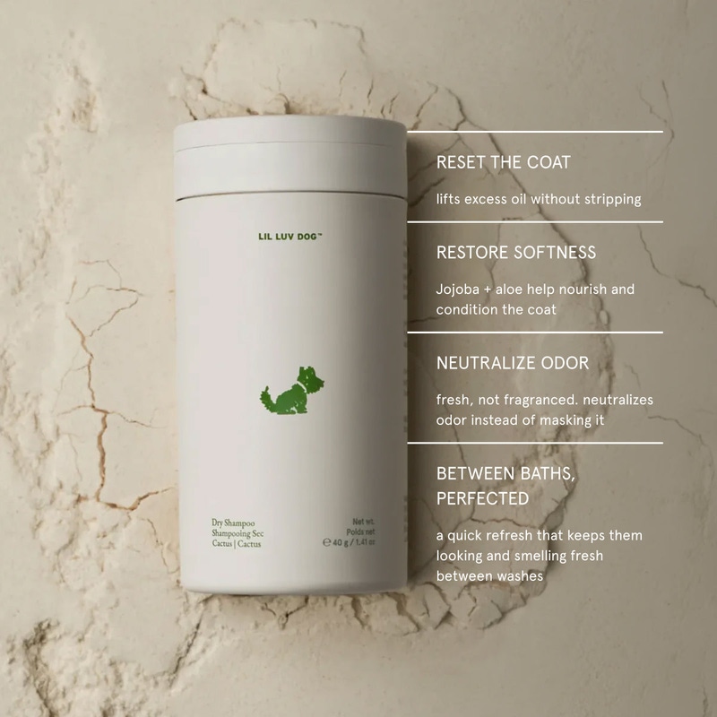 Dry Shampoo