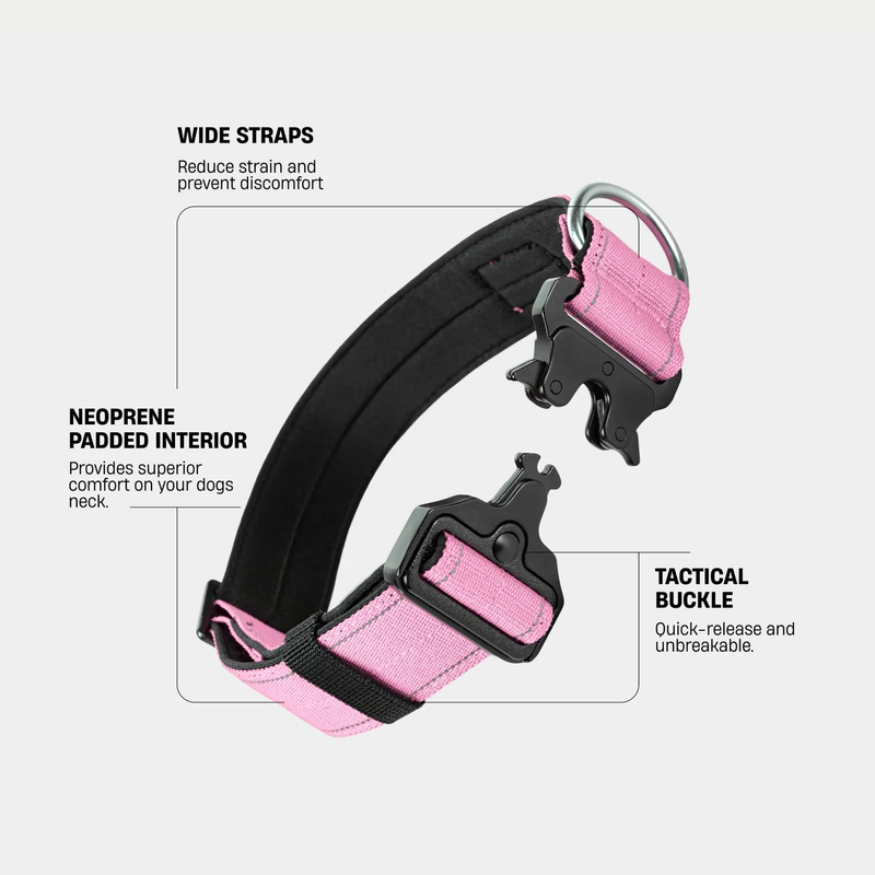 Tactical Dog Collar
