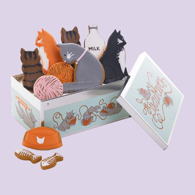 Pet Biscuit Tin