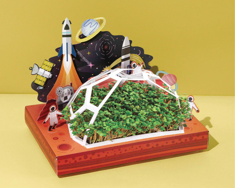 Pop Up Microgreens Kit