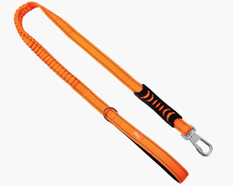 Bungee Dog Leash