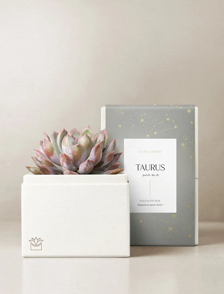 Birthday Astrology Garden