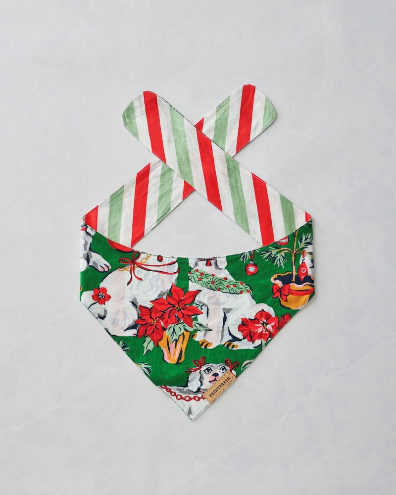 Small Pet Bandana