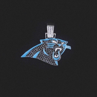 Carolina Panthers
