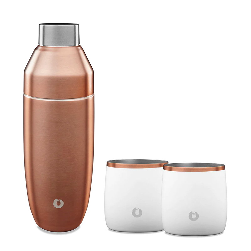 Stainless Steel Cocktail Shaker and Rocks Barware Set