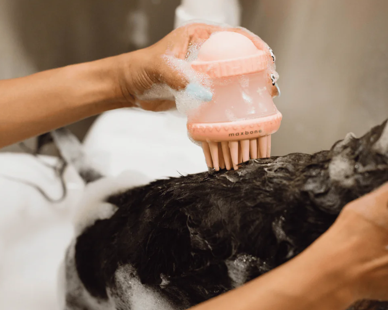 Deep Cleanse Shampoo Dispensing Brush
