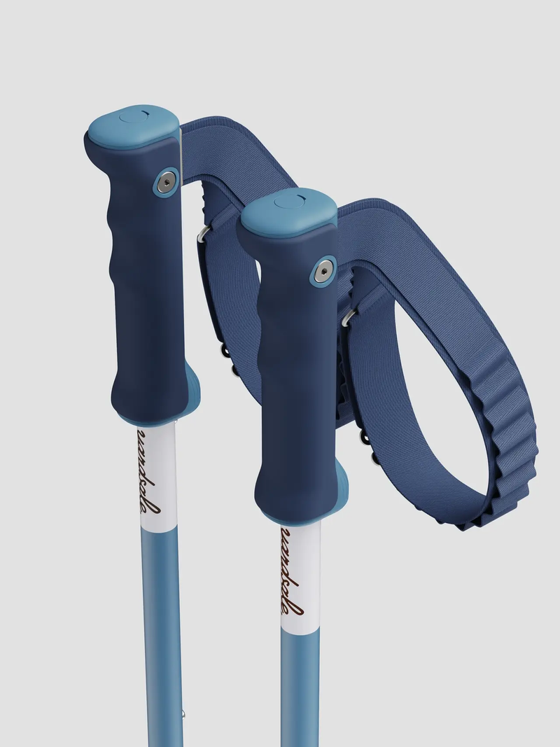 P1 Mini Poles
