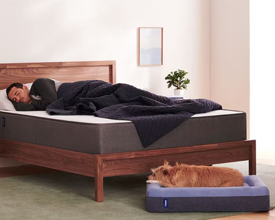 Small Dog Bed