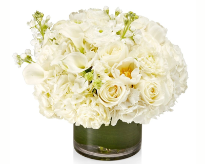 White Grand Designer's Choice