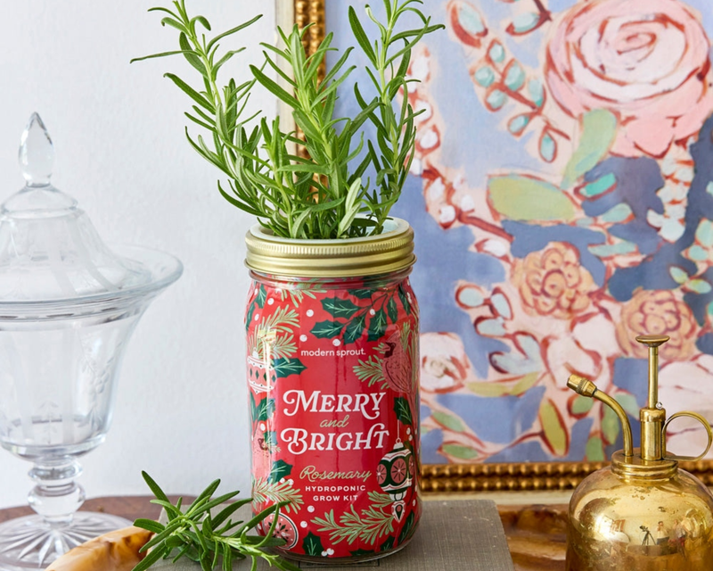 Holiday Herb Garden Jar