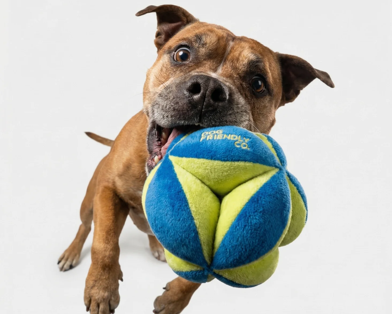 Geo Ball Dog Toy
