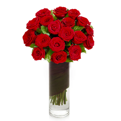 2 Dozen Red Roses in Vase
