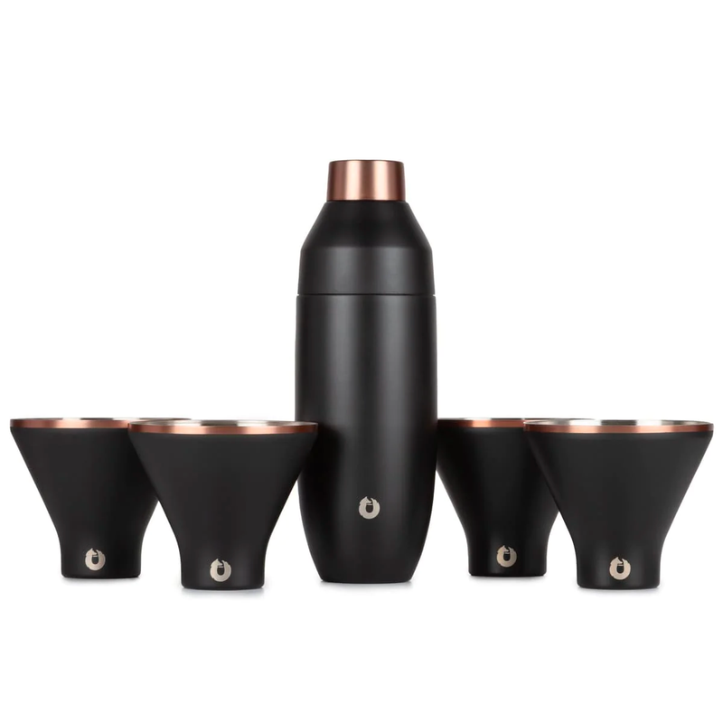 Stainless Steel Cocktail Shaker and Martini Glass Set