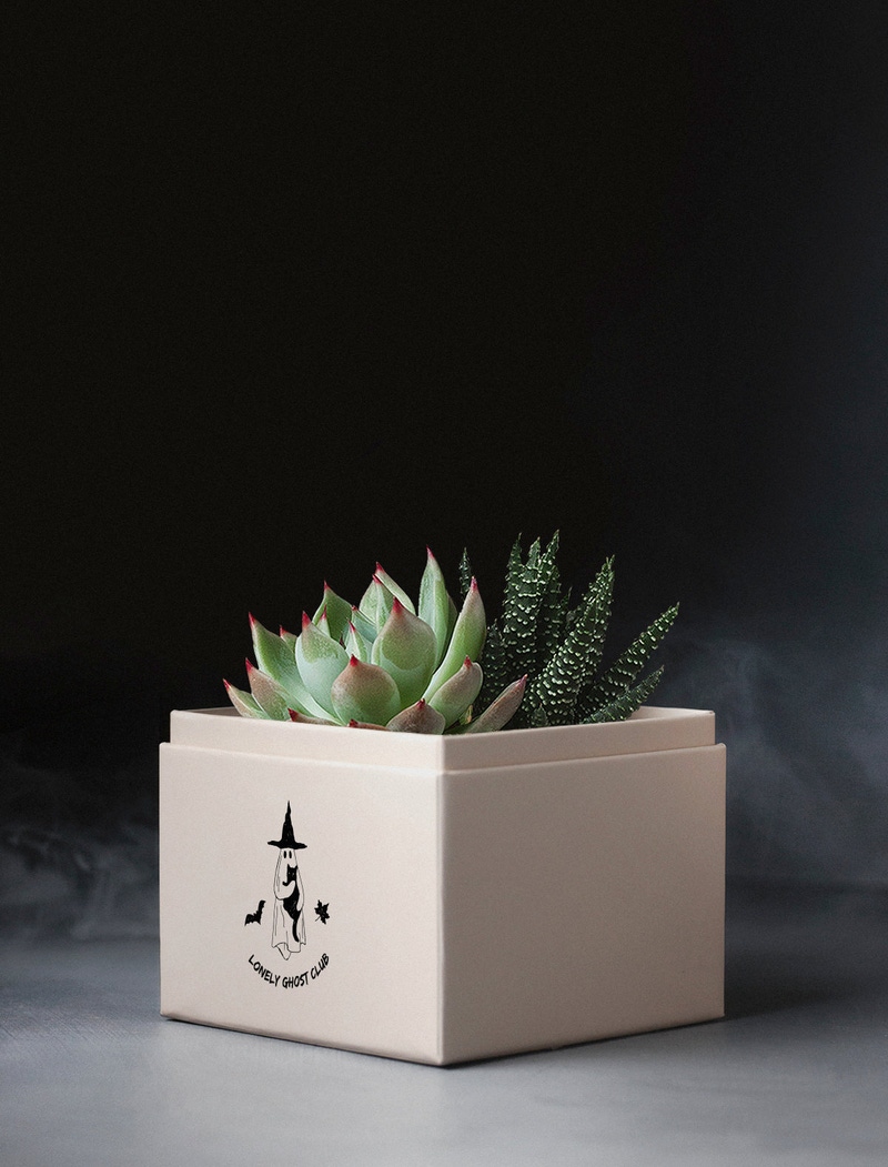 Halloween Garden | Glow