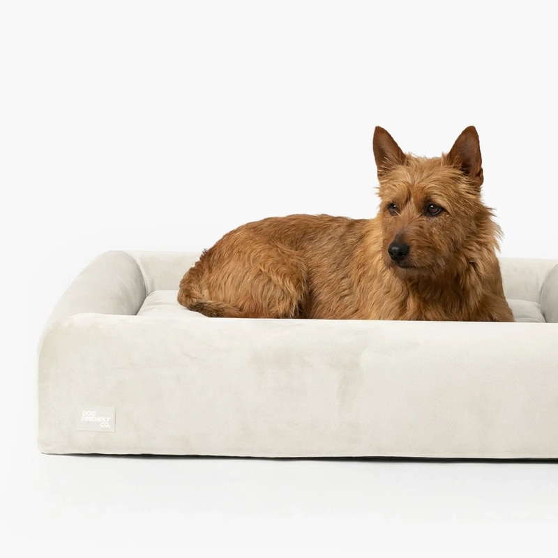 Large Orthopedic Memory Foam Dog Bed