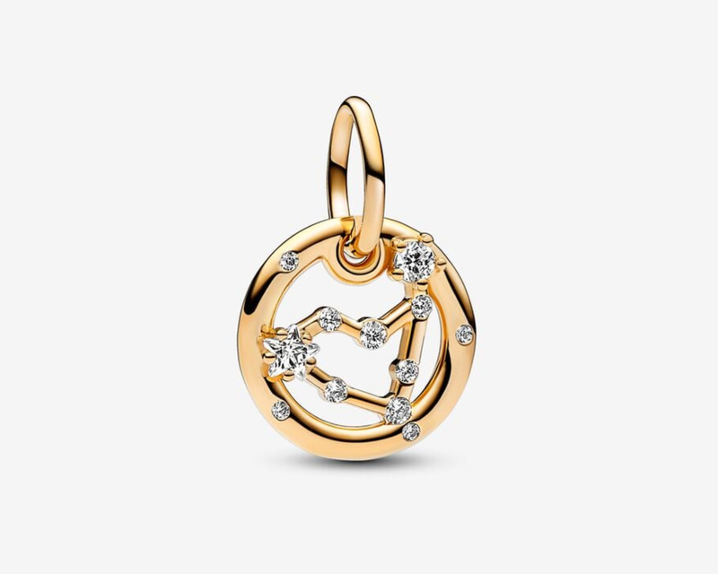 Zodiac Dangle Charm