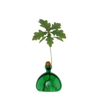 Emerald Green