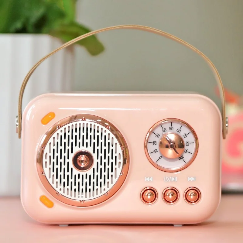 On-the-Go Mini Karaoke Machine