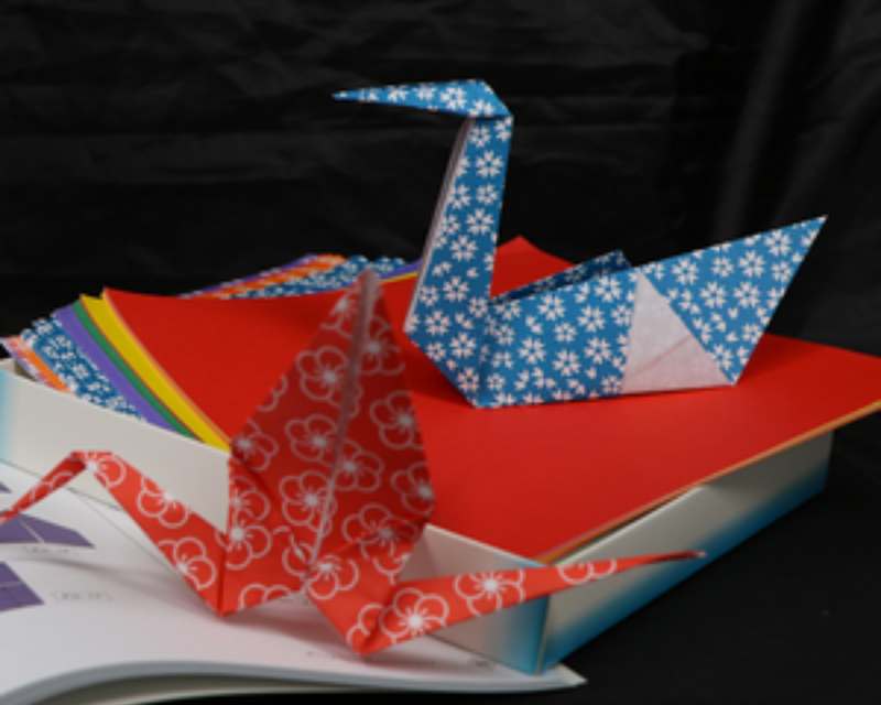 Origami Extravaganza Beginner Kit