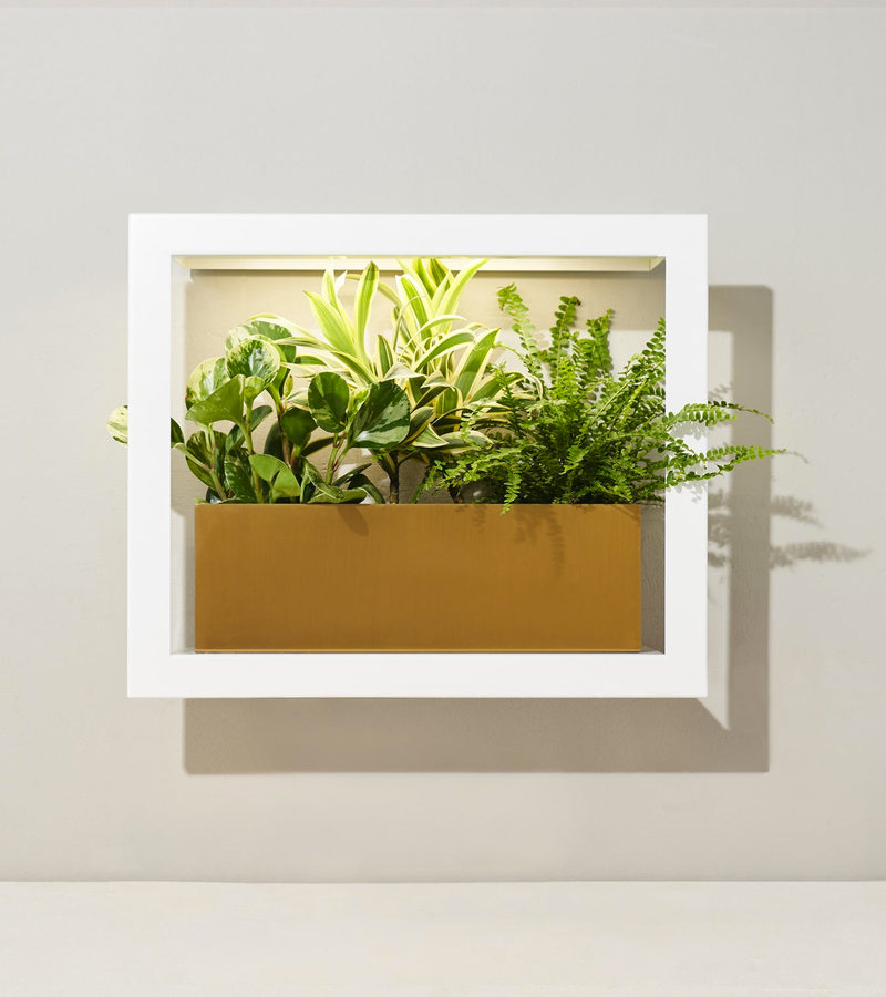 Smart Standard Growframe