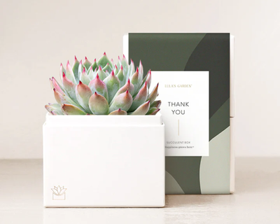 Thank You Bliss Garden