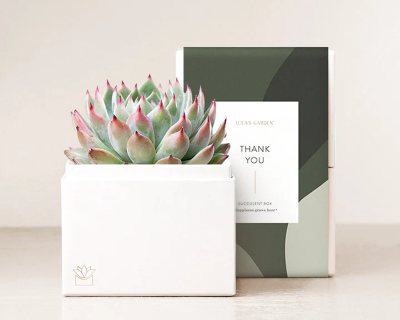 Thank You Bliss Garden