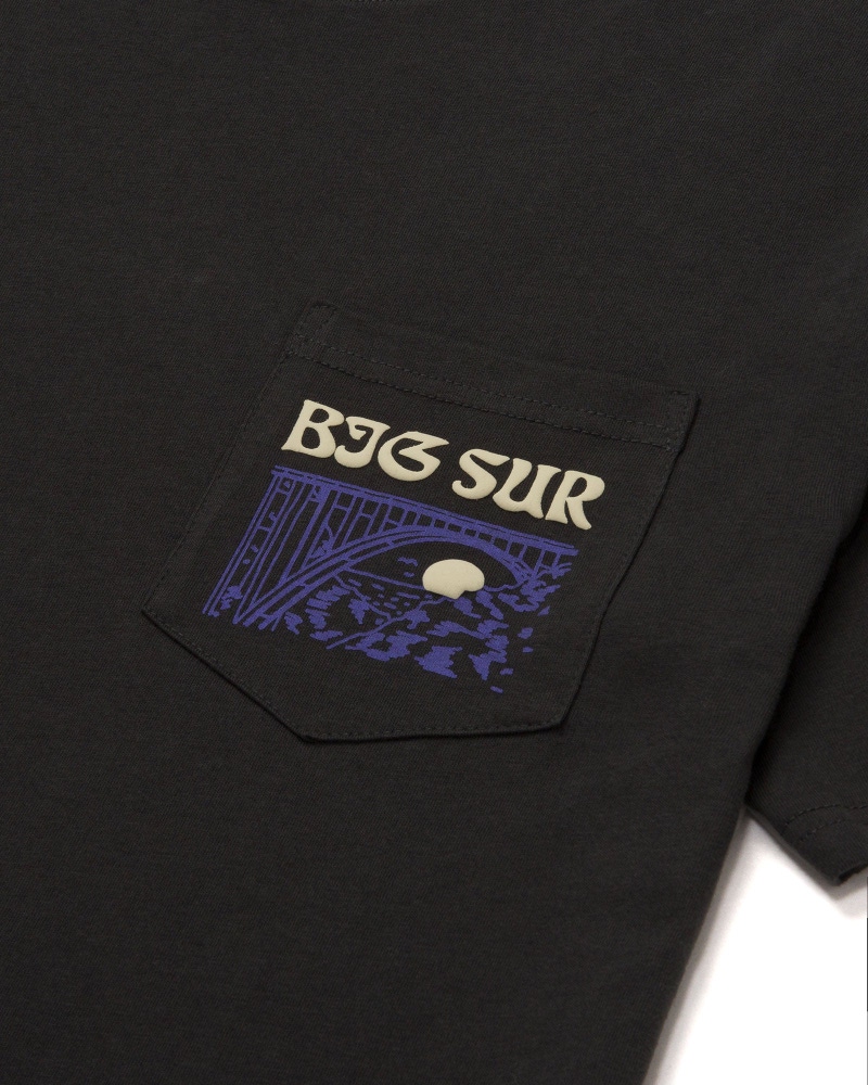 Big Sur Bridges Puff Print Pocket Tee