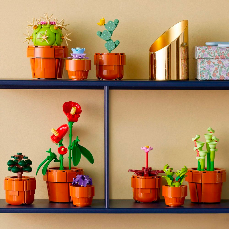 Icons Tiny Plants Build and Display Set