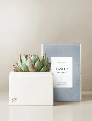 Cancer Garden