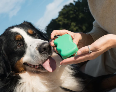 Silicone Dog Treat Dispenser