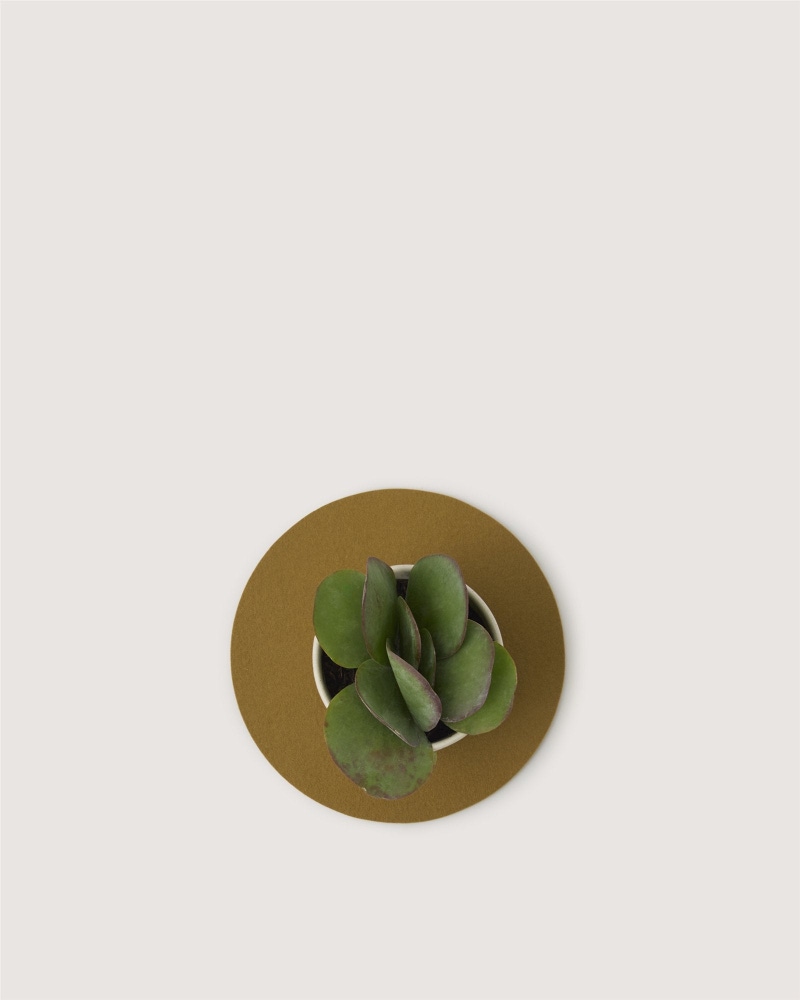 Merino Wool 10" Round Trivet