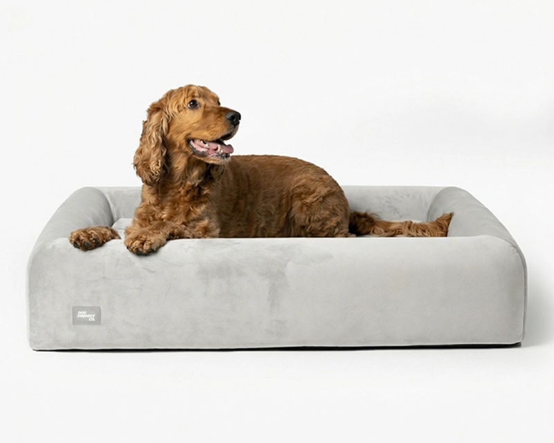 Large Orthopedic Memory Foam Dog Bed