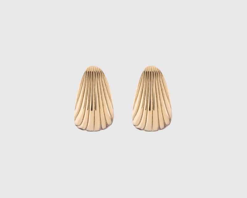 Shell Hinged Hoop Earrings