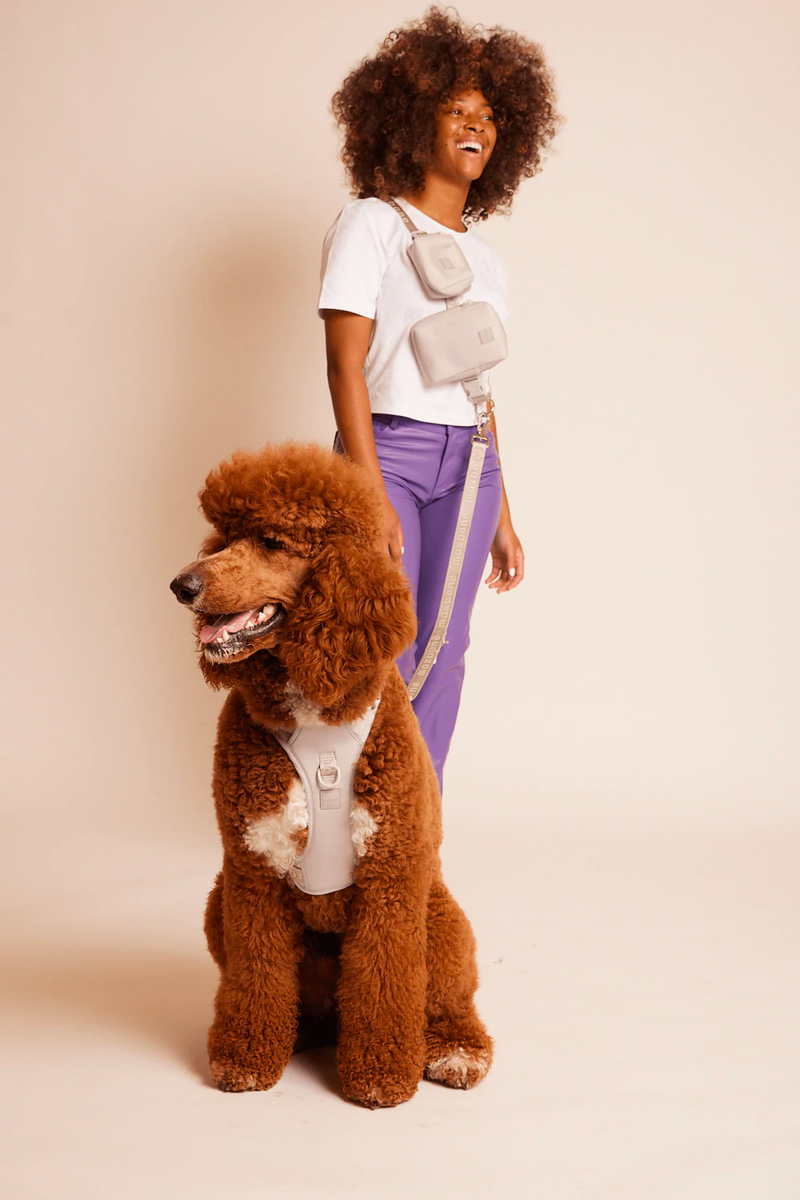 Go! With Ease Hands-Free Leash